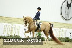 24BUCK_05722 thumbnail