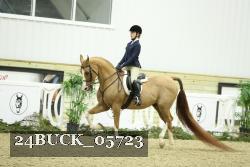 24BUCK_05723 thumbnail