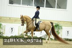 24BUCK_05724 thumbnail