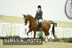 24BUCK_05725 thumbnail