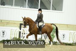 24BUCK_05726 thumbnail