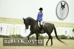 24BUCK_05733 thumbnail
