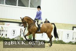 24BUCK_05736 thumbnail