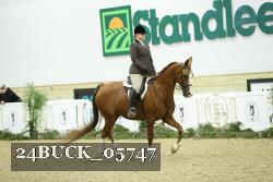 24BUCK_05747 thumbnail