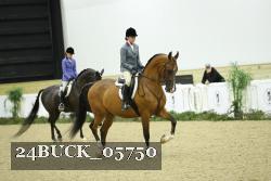 24BUCK_05750 thumbnail