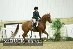 24BUCK_05754 thumbnail