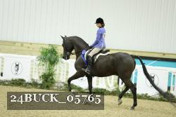 24BUCK_05765 thumbnail