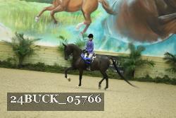24BUCK_05766 thumbnail