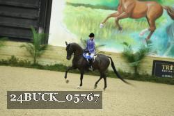 24BUCK_05767 thumbnail