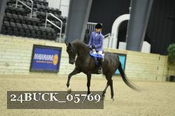 24BUCK_05769 thumbnail