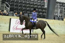 24BUCK_05772 thumbnail