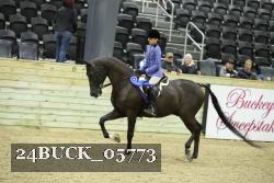 24BUCK_05773 thumbnail