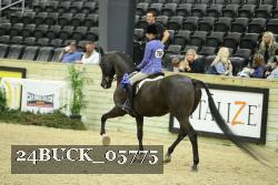 24BUCK_05775 thumbnail