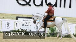24BUCK_05779 thumbnail