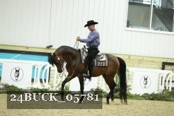 24BUCK_05781 thumbnail