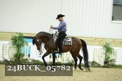 24BUCK_05782 thumbnail