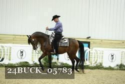 24BUCK_05783 thumbnail