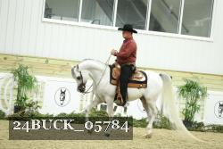 24BUCK_05784 thumbnail