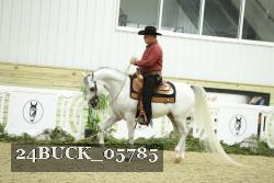 24BUCK_05785 thumbnail