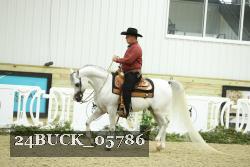 24BUCK_05786 thumbnail
