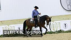 24BUCK_05790 thumbnail