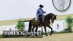 24BUCK_05791 thumbnail