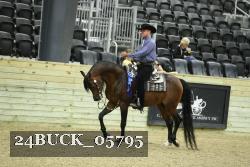 24BUCK_05795 thumbnail