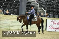 24BUCK_05800 thumbnail