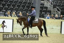 24BUCK_05803 thumbnail