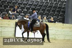 24BUCK_05805 thumbnail