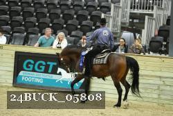 24BUCK_05808 thumbnail