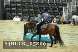 24BUCK_05809 thumbnail