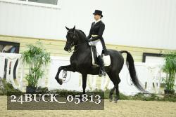 24BUCK_05813 thumbnail