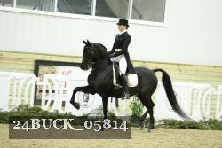 24BUCK_05814 thumbnail