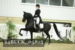 24BUCK_05815 thumbnail