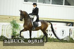 24BUCK_05818 thumbnail