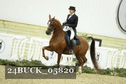 24BUCK_05820 thumbnail