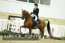 24BUCK_05821 thumbnail