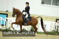 24BUCK_05822 thumbnail