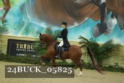 24BUCK_05825 thumbnail