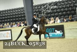 24BUCK_05838 thumbnail