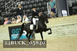 24BUCK_05840 thumbnail