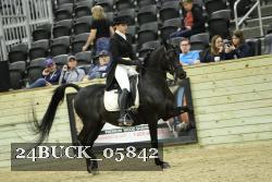 24BUCK_05842 thumbnail