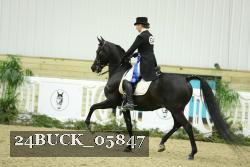 24BUCK_05847 thumbnail
