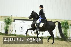 24BUCK_05848 thumbnail