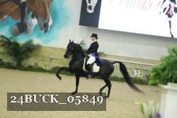 24BUCK_05849 thumbnail