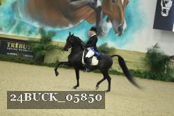 24BUCK_05850 thumbnail