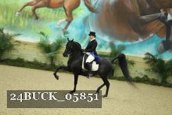 24BUCK_05851 thumbnail