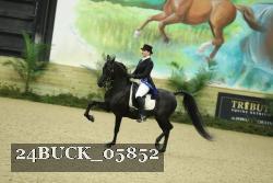 24BUCK_05852 thumbnail