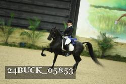 24BUCK_05853 thumbnail